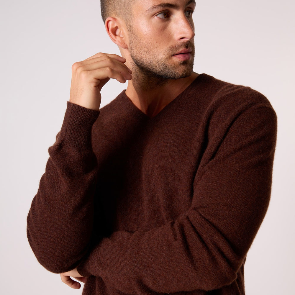 alexander pull col v café 100% cachemire