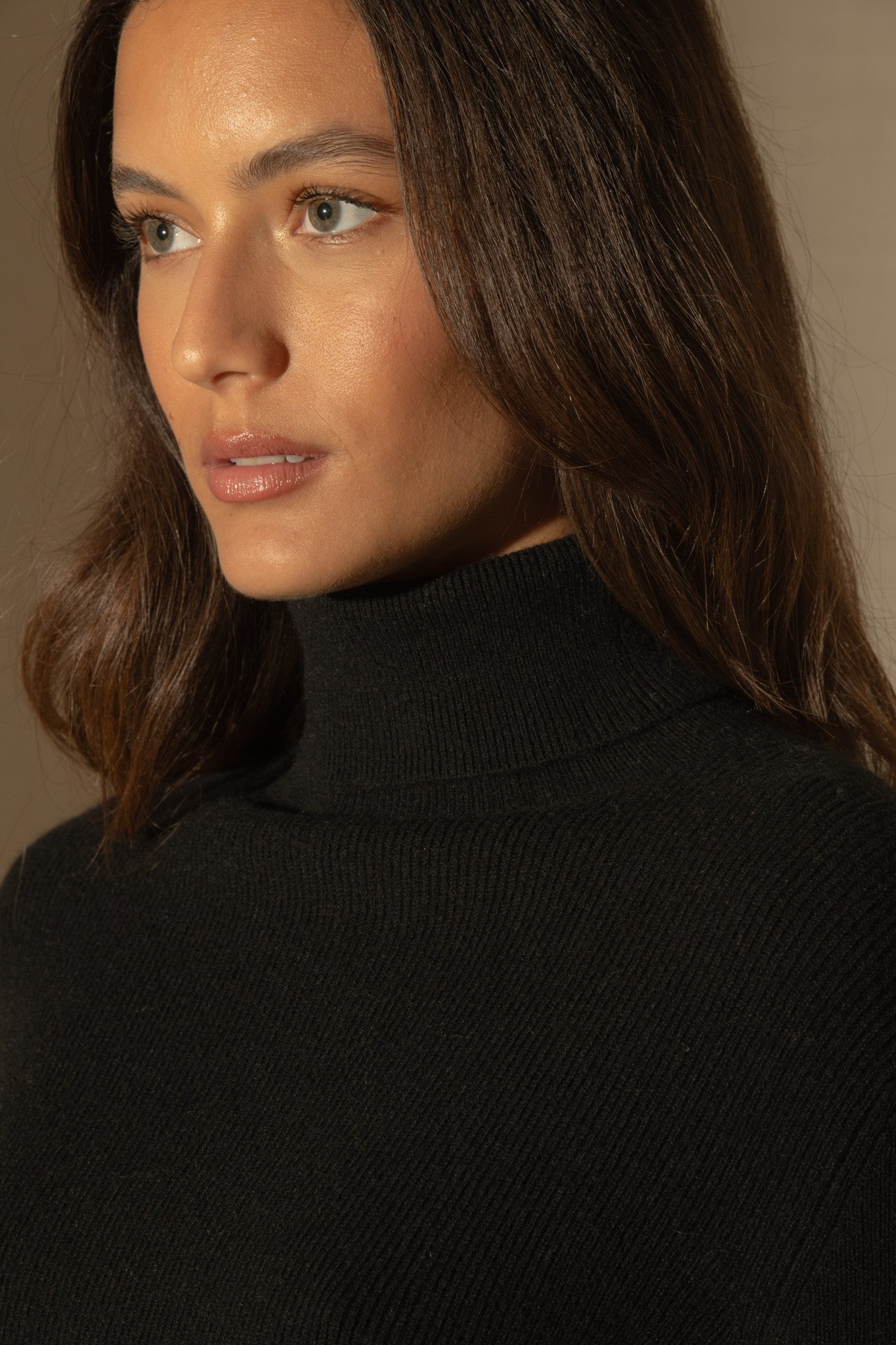 elly pull col roulé noir 100% cachemire
