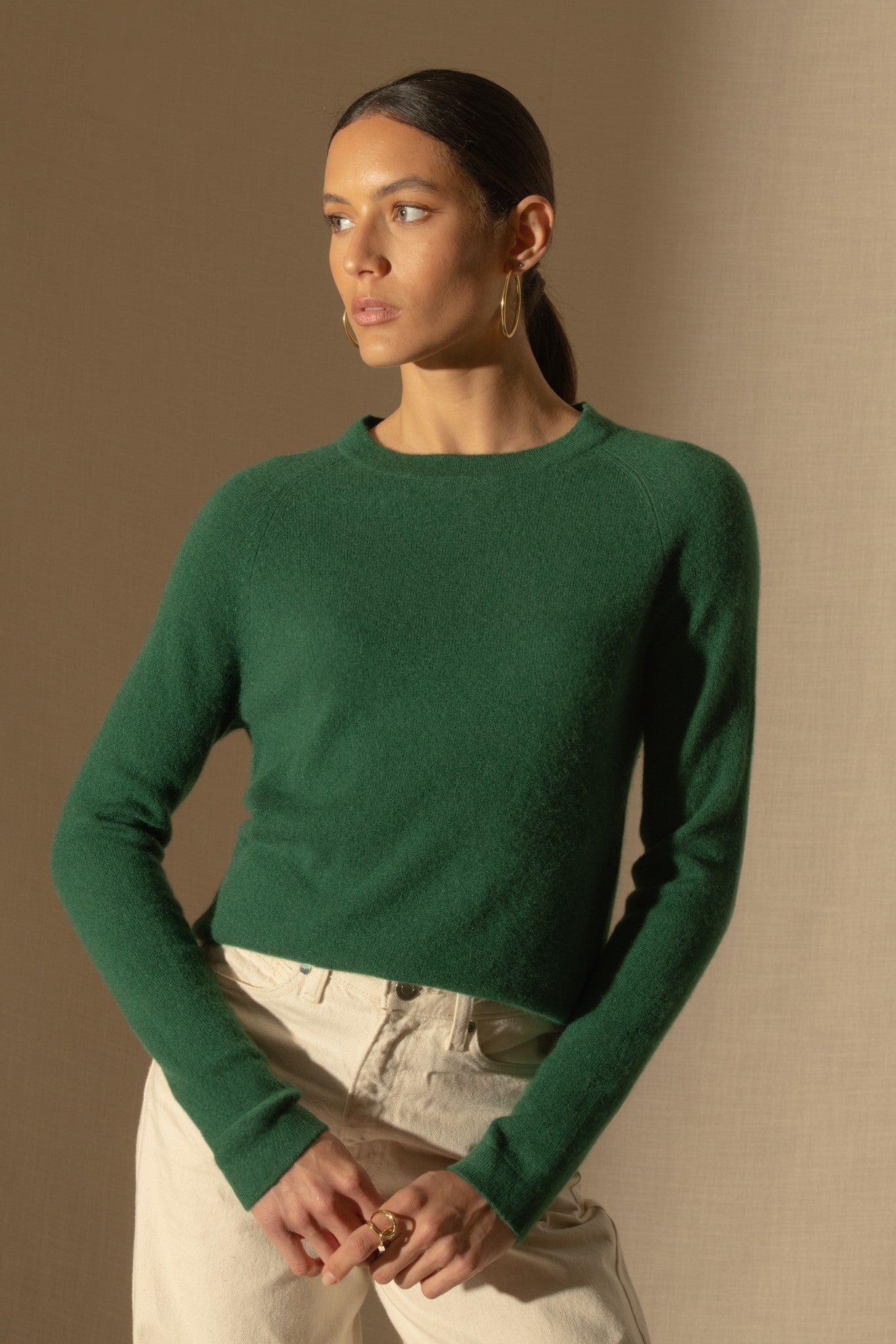 whitney pull col rond sapin 100% cachemire